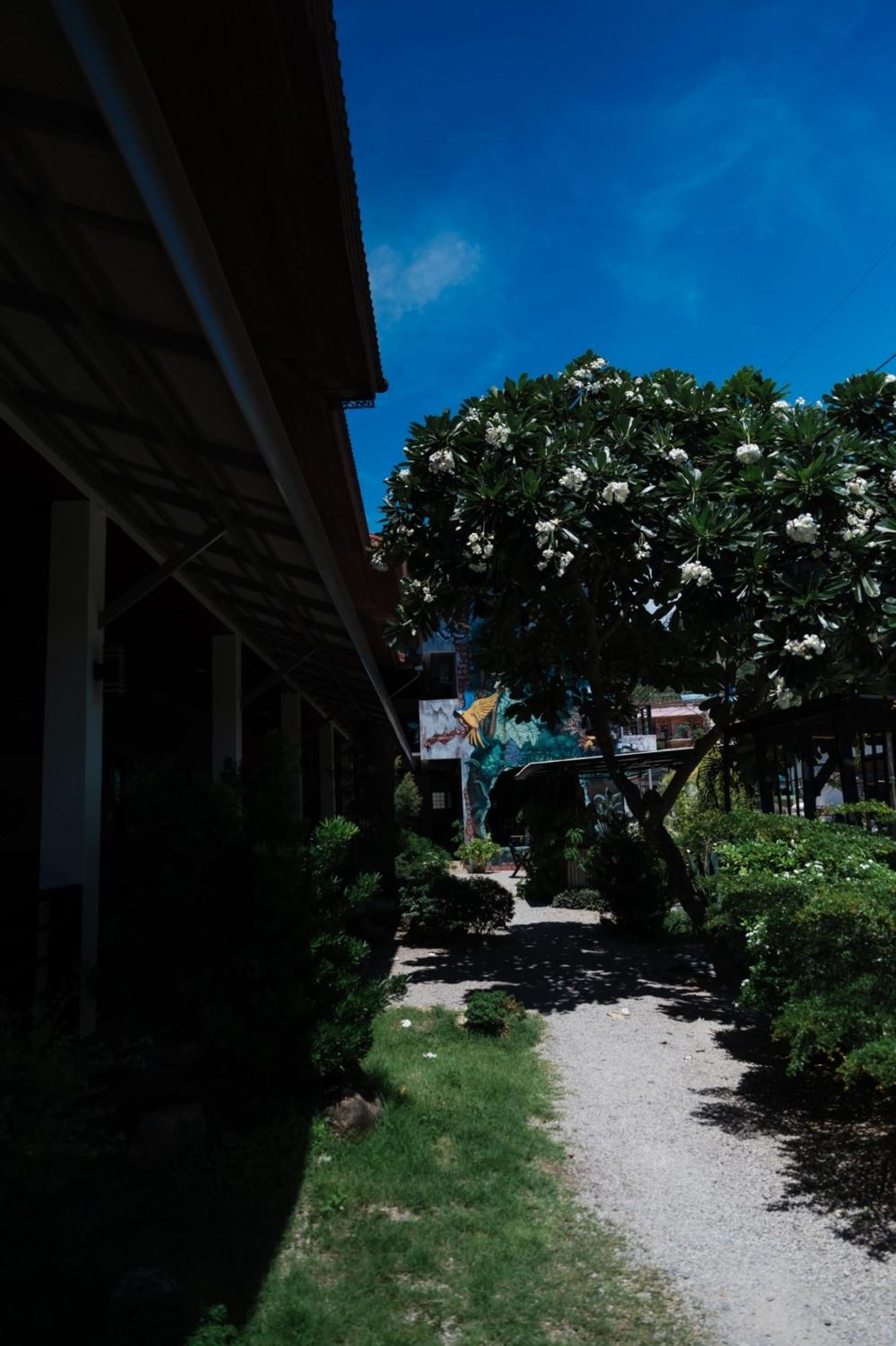 C4 Resort 涛岛 外观 照片